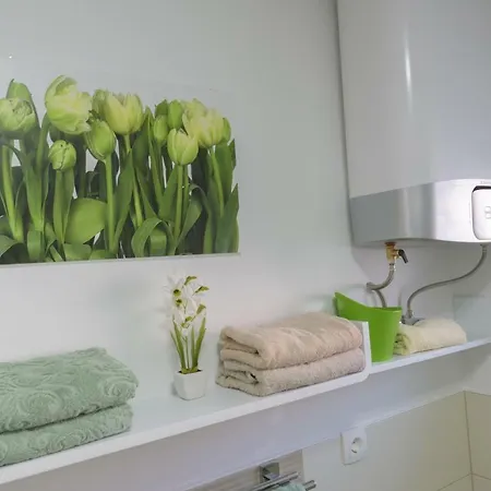 Apartment Vesna In